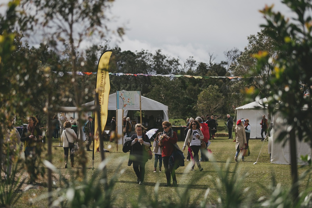 Paddock wanderings -pic Kate Holmes