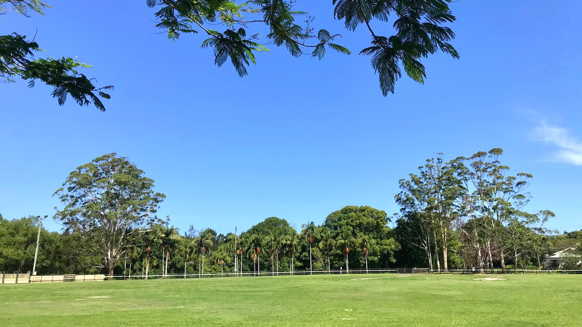 https://byronwritersfestival.com/wp-content/uploads/2023/01/Bangalow-Showground-website-banner.jpg