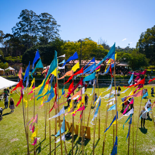 https://byronwritersfestival.com/wp-content/uploads/2023/08/Flags-from-the-sky-540x540.jpg