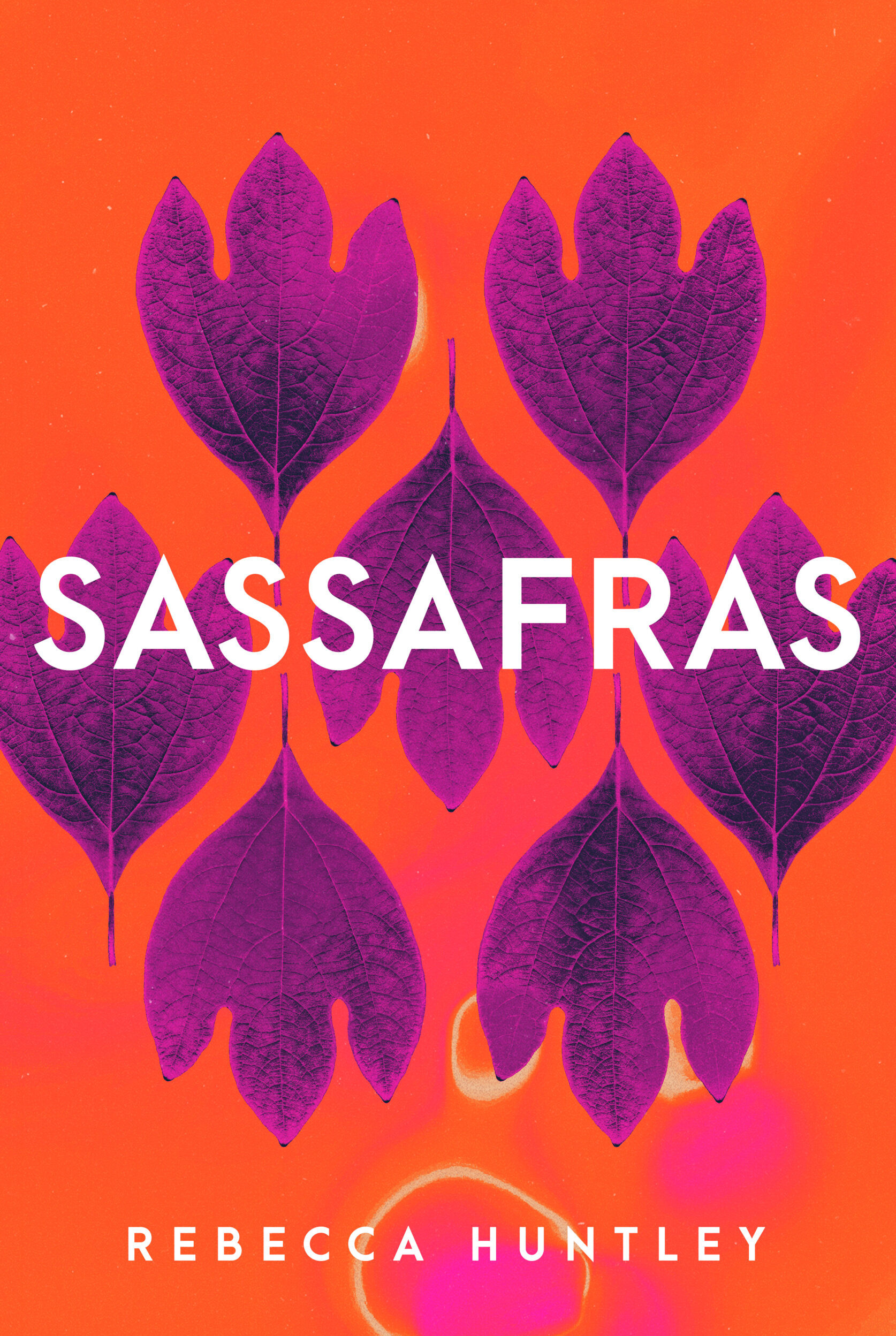 https://byronwritersfestival.com/wp-content/uploads/2024/06/Sassafras-book-cover-scaled-e1718078114781.jpg